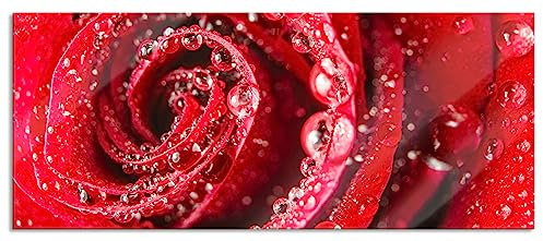 Pixxprint Glasbild Panorama, Wandbild aus Echtglas, Rose mit Wassertropfen, 120x50 cm, inkl. Aufhängung und Abstandshalter