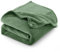 CozyLux Kuscheldecke Flauschig Decke Sofa 150x200 cm für 4 Jahreszeiten - Weich/Warm/Leicht Sofadecke Wohndecke Couchdecke für Sofa/Bett/Couch, Flanell Fleecedecke 150x200cm Grün
