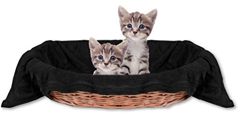 Bestlivings Haustierdecke Katzendecke Kuscheldecke Tierdecke, angenehm und super weich in vielen erhältlich (60x80 cm/schwarz - Black)