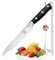 KOI ARTISAN Kitchen Utility Knife - 5 Inch Razor Sharp Blade - 67 Layers of Japanese Kitchen Knife - Damascus VG10 Super Steel - Professional Chef Knife
