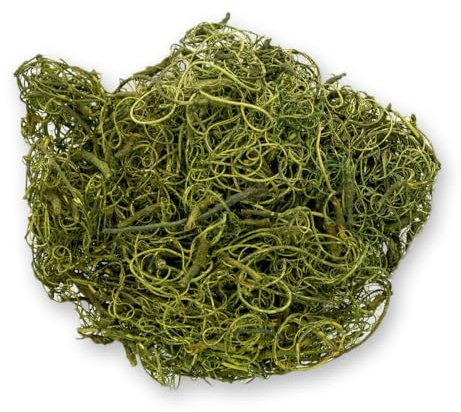 NaDeco Curly Moos moosgrün ca. 50 g, Deko Moos zum Basteln, Tamarindenfaser | Naturkrause Tamarindenfasern aus Indien, schonend eingefärbt, sehr ergiebig und formstabil, ca. 50 g