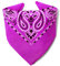 Karl Loven - Orchidee Bandana - Paisleymuster - 100% Baumwolle - Dicker Stoff - 20 Exklusivfarben