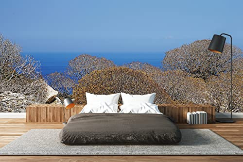 Glücksvilla - Fototapete, selbstklebend (600 x 250 cm BxH) - div. Maße - Vlies-Tapete XXL Wand-Deko - Wilde Macchia auf Naxos - maritime Fotografie Meer Klippe Sträucher Natur x