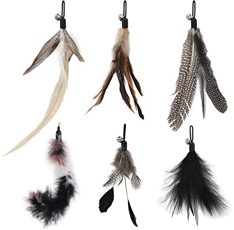SONGWAY 6 Stück Katzenspielzeug Feder - Katzenangel Ersatzfedern Anhänger Federn mit Glocken, Katzen Federspielzeug, Spielzeug für Katze, Schwarz