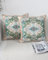 OYIMUA Kissenbezug Boho 50x50 2er Set Kissenbezüge Grün Weich Samtkissen Deko Couchkissen Kissenhülle Quadratisch Sofakissen Vintage Abstrakte Kissen Aesthetic Deko Wohnzimmer Modern Dekokissen