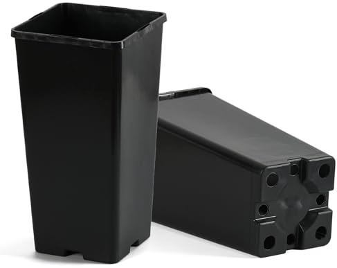 Pullmer 100 pots pour la culture en plastique (11 x 11 x 21 cm) avec racines profondes, pots carrés pour semis ou boutures, en plastique (11 x 11 x 21 cm)