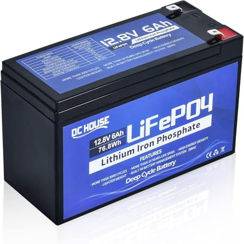 DCHOUSE 12V 6Ah Lithium Batterie, wiederaufladbare LiFePO4 Batterie mit 3000+ Mal tiefen Zyklen und BMS-Schutz für Fischfinder, Power Wheels, Roller, Licht, Kinderauto, UPS