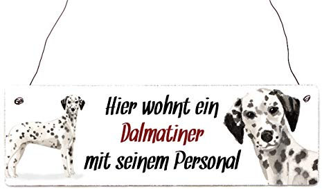 Interluxe Holzschild - Hier wohnt EIN Dalmatiner - Schild mit Spruch, Warnschild oder Hundeschild als Geschenk für Menschen mit Hund