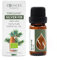 Essences Bulgaria BIO Ätherisches Öl Weißtanne 10ml | Abies alba | 100% Naturrein | Unverdünnt | BIO-zertifiziert | Spitzenqualität aus Familienbetrieb | Ohne Gentechnik | Vegan