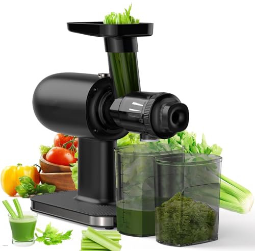 DRYIC Exprimidor de Prensa en frío, máquina exprimidora de masticación Lenta, máquina extractora de Jugo con función inversa