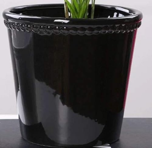 SBCGFY Maceta de cerámica con Forma de Narciso y eneldo Verde, Resistente y Duradera, sin Agujero, para Exteriores, para suculentas, Cactus, Color Rosa(Negro)