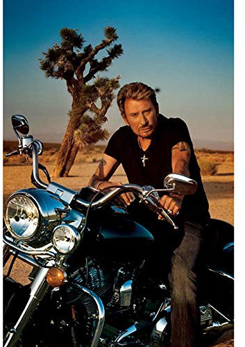 DIY Décor Diamant Peinture Rock Français Johnny Hallyday Bricolage Point de Croix Diamant Broderie Set Peinture Au Diamant, 40X50Cm