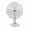 Elit Fan FD-12 Mesh Grill, Wide Angle Oscillation White EU