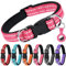 AUAUY Collier pour Chien, Collier en Nylon Réfléchissant Réglable Classique avec Rembourré Doux Respirant Mesh, Collier avec Étui AirTag pour Petits Chiens, Moyen Gros, Grand Chiens(Rose-L)