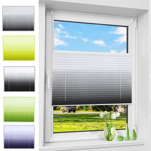 Premium Plissee Faltrollo ohne Bohren 40 x 40 cm Sichtschutz und Sonnenschutz Blickdicht Jalousie für Fenster & Tür mit Klemmträger / -fix für Tür & Fenster, Grau