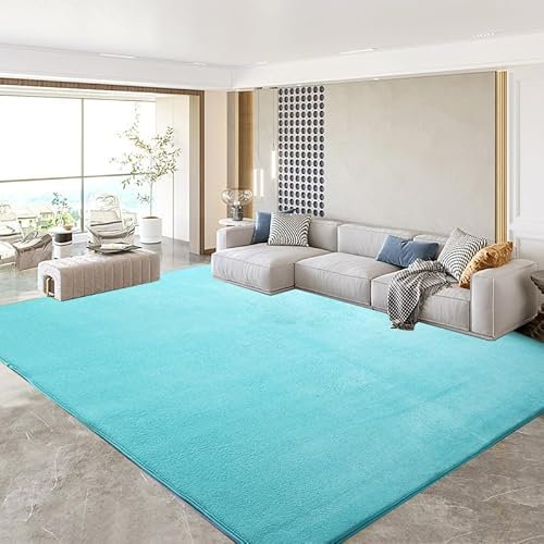 SK Studio Teppich Kurzflor Weiche Indoor Flauschige zerfeste Teppiche Moderne Wohnkultur für Schlafzimmer, Arbeitszimmer, Büro, Flur und Küche Hellblau, 200x300cm