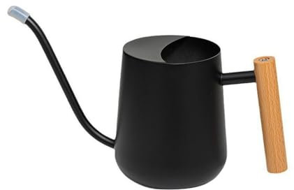 Ywmsfl Regadera de acero inoxidable de 1000 ml con boca larga y mango de madera, para riego de jardín