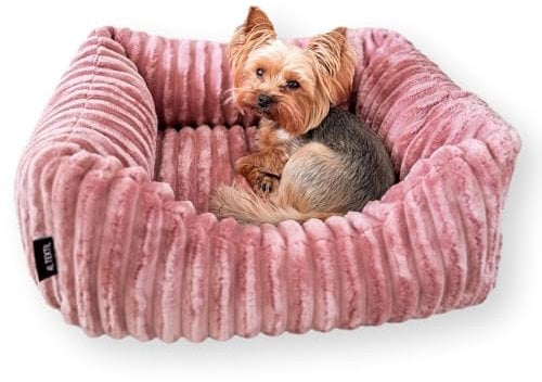 4L Textil Bella Plüsch-Hundebett Premium-LINE Kuscheliges Hundekörbchen aus Cord Katzenkorb Hundekorb für Welpen Hundebett flauschig Hundesofa kleine Hunde (Rosa, 60x40 cm)