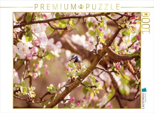 CALVENDO Puzzle Blaumeise im Frühling | 1000 Teile Lege-Größe 64 x 48 cm Foto-Puzzle für glückliche Stunden