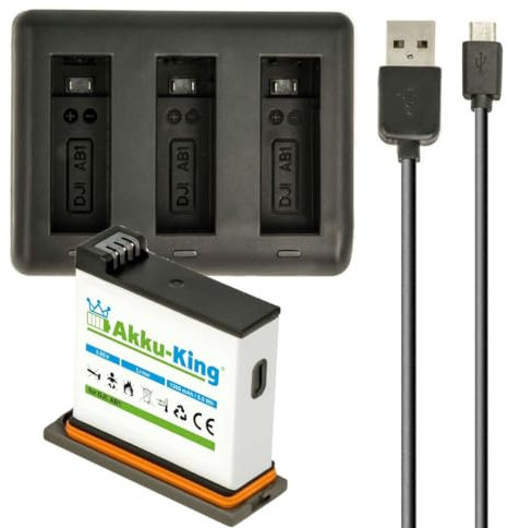 3-Fach Ladestation + Akku Li-Ion 1300mAh kompatibel mit DJI AB1 P01 für DJI Osmo Action Cam (Nicht kompatibel mit Osmo Action 3/4), Set:Ladestation mit 1 Akku