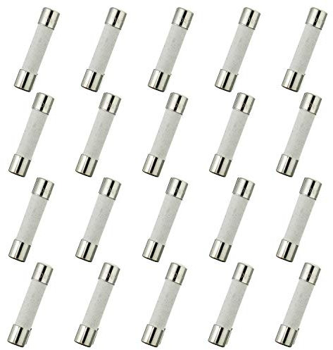 HUAREW T10AL250V 20 Stück 6x30 mm 0,24 x 1,18 Zoll keramik langsam schmelzen sicherungen 10A 250V