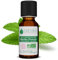 Voshuiles - Huile Essentielle Menthe Poivrée Bio 125ml - Parfum Frais - Nombreuses Vertus et Applications - Huiles Essentielles de Qualité - 100% Pure et Naturelle - HEBBD et Certifiée ECOCERT