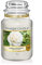 Yankee Candle Duftkerze im Glas (groß) | Camellia Blossom | Brenndauer bis zu 150 Stunden | Garden Hideaway Kollektion