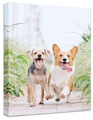 Personalized Photo to Canvas Print - Canvas Prints With Your Photos on Custom Wall Art for Bedroom, Living Room, Wedding Baby Pet Family Picture Framed Wall Art (6 W x 8 H)