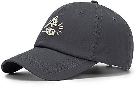 Herren Kappe Hut Sommer New Baseball Cap Männer Stickmützen Twill Baumwolle Gebogene Krempe Hip Hop Papa Hüte Für Frauen-Gray_Baseball_Cap_56-62Cm