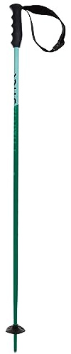 Volkl Junior Phantastick Ski Poles 2023, Green, 105