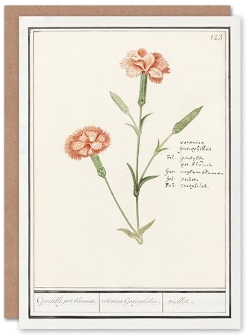 Artery8 Anselmus de Boodt Art Card Carnation Dianthus Flower