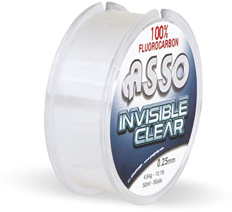 ASSO Vorfachschnur Fluorocarbon Angeln Invisible 50m 0,28mm 5,40kg