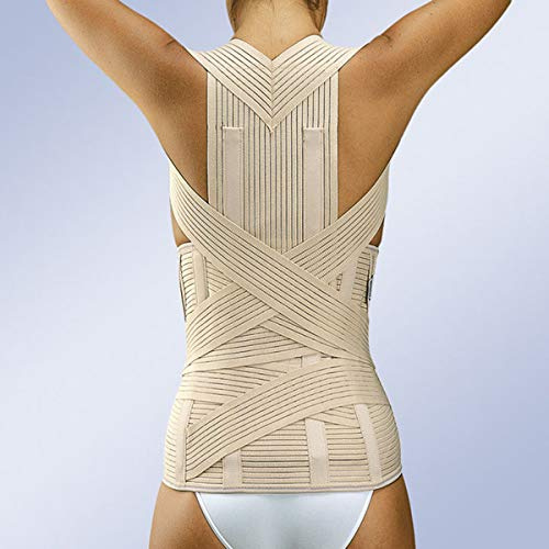 RIB toraco-lombare fascia Forte Lumbitron Orliman LT-330