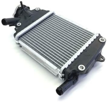 Wasserkühler Maxtuned, APAC, Asien für GTS/Medley, 1A017507
