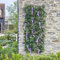 Garden Mile Panneau de treillis en feuilles de glycine violette - Clôture d'intimité pour jardin, treillis artificiel - Panneau mural extensible - 180 x 60 cm