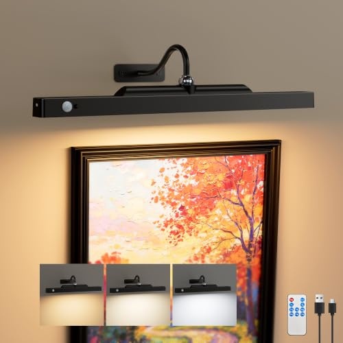 Wireless Picture Light for Wall Art Motion Sensor, 16 Inch, Black, 1 Pack | 5000mAh Rechargeable Battery, Cordless, Magnetic Detachable Bar, 3CCT Dimmable, Remote Control for Paintings and Artworks