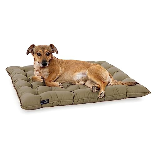 Pointer | Urban Hundekissen Kleine Hunde, 50x40 cm - Orthopädisches Hundebett Waschbar bis 95°C, Geruchsfrei, Robust, Indoor & Outdoor, Made in Germany (M - 50x40 cm, Goldbraun)