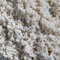 Aqua Della, Gravier pour Aquarium Beach, 1-2 mm, 10kg, Sol décoratif et Fonctionnel, Apporte Un Soutien, Composé d’éléments de qualité supérieure, Rincer à l’Eau tiède Avant Utilisation