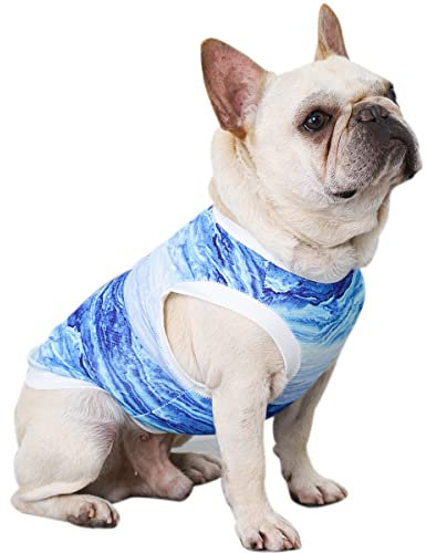 Hifrenchies Kühlendes Geschirr für Hunde, französische Bulldogge, Sommer, sonnenfest, kühlende Weste, Hundeweste für Frenchie (M)