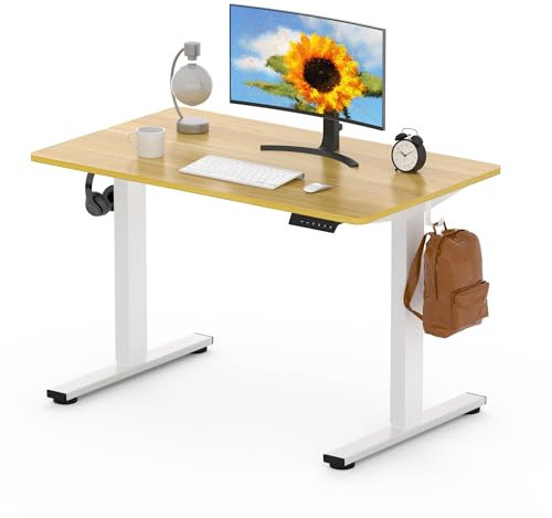 FLEXISPOT ONE PIECE Electric Standing Desk Height Adjustable Desk Sit Stand Desk with 4 Memory Smart Pannel and Backpack Hook for Home Office, 100 x 60cm Maple