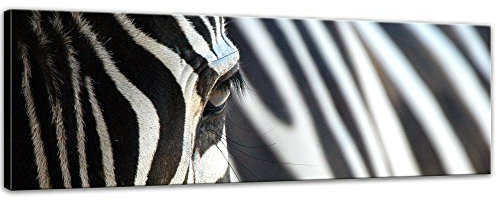 Keilrahmenbild - Zebra - Bild auf Leinwand 160 x 50 cm - Leinwandbilder Bilder als Leinwanddruck Tierbild Natur Afrika - gestreiftes Tier