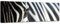 Keilrahmenbild - Zebra - Bild auf Leinwand 160 x 50 cm - Leinwandbilder Bilder als Leinwanddruck Tierbild Natur Afrika - gestreiftes Tier