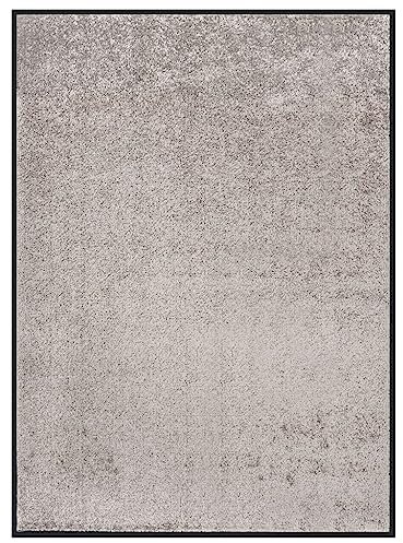 vidaXL Fußmatte Schmutzfangmatte Türmatte Schmutzmatte Sauberlaufmatte Türvorleger Fußabtreter Schmutzfangläufer Teppich Matte Grau 60x80cm