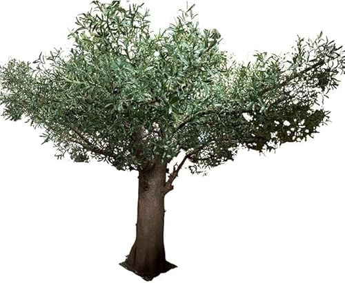 Sohodoo Large Faux Olive Tree 6-10ft for Home Office Décor - Artificial Indoor Plant with Natural Wood Trunk and Realistic Leaves and Fruit (B,6ft)