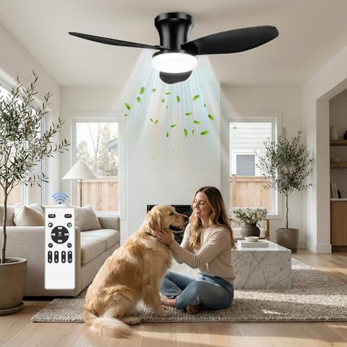 Ventilatore da Soffitto con Luce LED 107 cm, Motore DC Silenzioso, Telecomando, 6 Velocità, Modalità Estate/Inverno, Funzione Memoria, 3000K/4000K/6000K, Timer 2H/4H