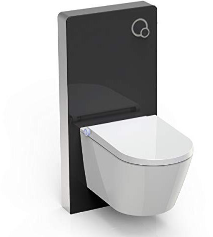 WC-Sparpaket 7: Dusch-WC Basic 1102 & Sanitärmodul 805 in Schwarz
