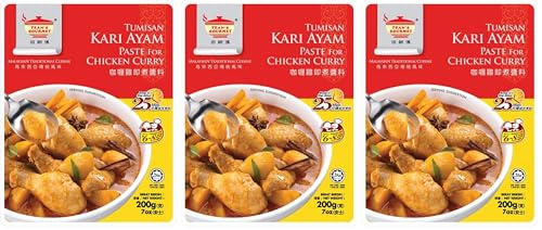 Tean's Gourmet Chicken Curry Paste, 200 g (Pack of 3)