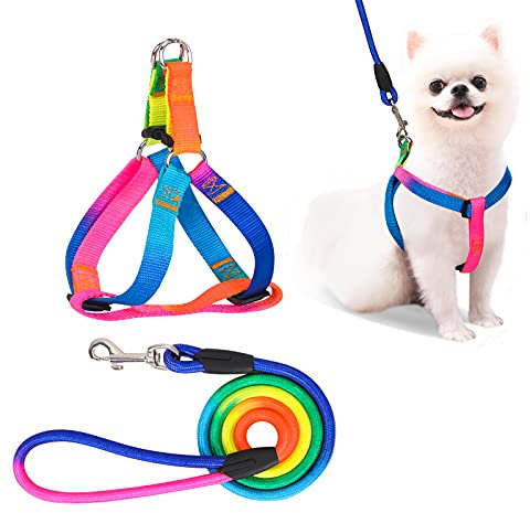 PetsHome Hundegeschirr und Leine, verstellbar, kein Ziehen, sicheres Nylon-Haustiergeschirr mit Leine für Outdoor-Spaziergänge für Hunde, kleine Regenbogenfarben