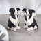 Salt & Pepper Shakers (Border Collie)