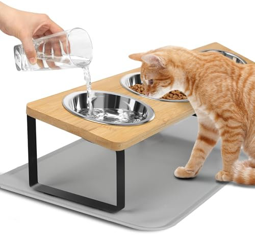 Elevated Cat Bowls with Non Slip Mat, 15° Tilted Raised Anti Vomit Cat Feeder for Food and Water, Pet Feeding Station with 3 Stainless Steel Bowls
